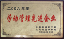 勞動(dòng)管理先進(jìn)企業(yè),帽子廠(chǎng)家,帽子工廠(chǎng),帽子定做